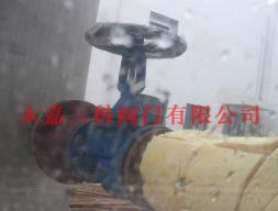 波紋管截止閥應(yīng)用在工程當(dāng)中